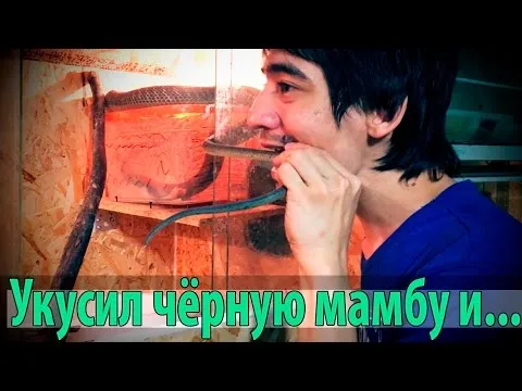 Нажми и смотри Нажми и смотри