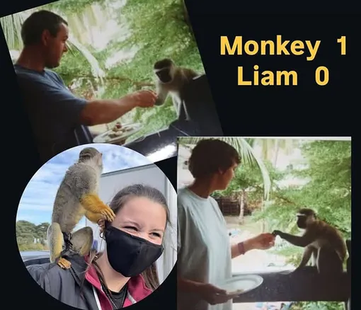 Лиама Скоулза потроллила мама