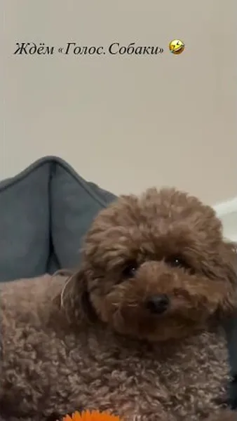 Нажми и смотри Нажми и смотри