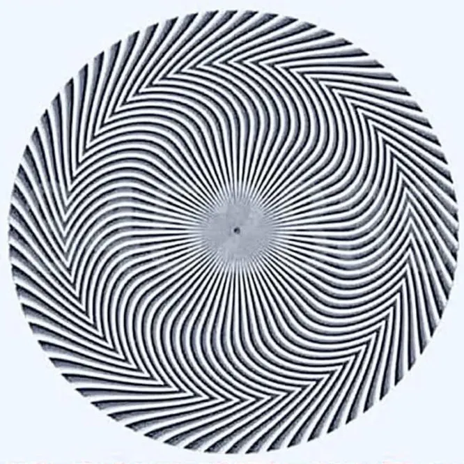 Внимательно посмотри на изображение - когда круги перестанут раздражать глаз, на нем начнут проступать цифры. Какие именно?