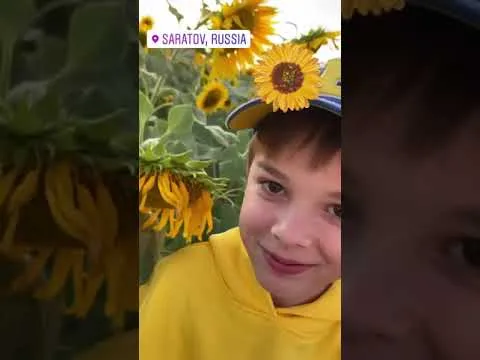 Нажми и смотри