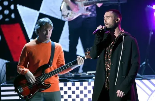 Микки Мэдден и Адам Ливайн на концерте Maroon 5 Микки Мэдден и Адам Ливайн на концерте Maroon 5