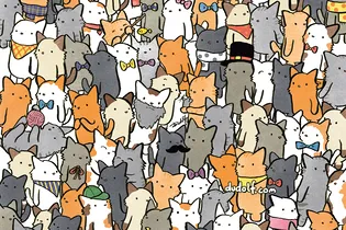 Тест: найди кота в сапогах среди кошек и войди в 5% самых наблюдательных людей!