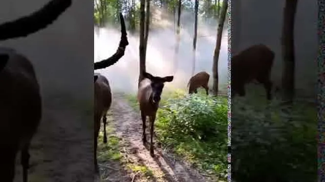 Нажми и смотри Нажми и смотри