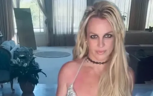 Бритни Спирс раскритиковали из-за хаоса дома