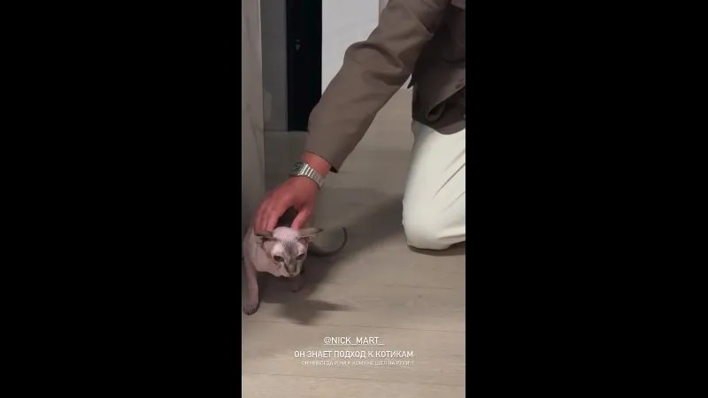Нажми и смотри Нажми и смотри