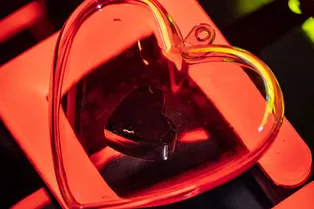 С.И.Д.Р. Групп предлагает встретить канун Дня Святого Валентина