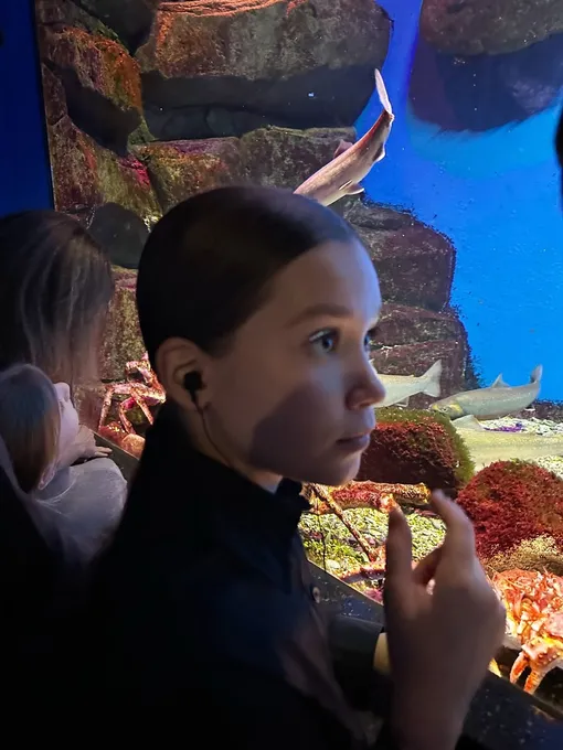 Дочь Гарика Харламова и Кристины Асмус в «Москвариуме» Дочь Гарика Харламова и Кристины Асмус в «Москвариуме»