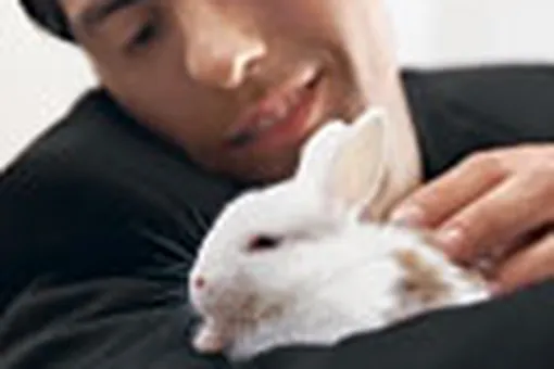 Это снова Я