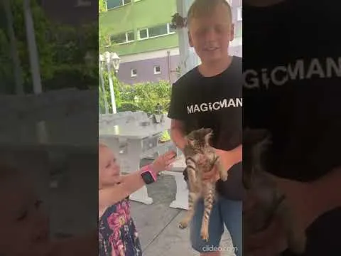 Нажми и смотри Нажми и смотри