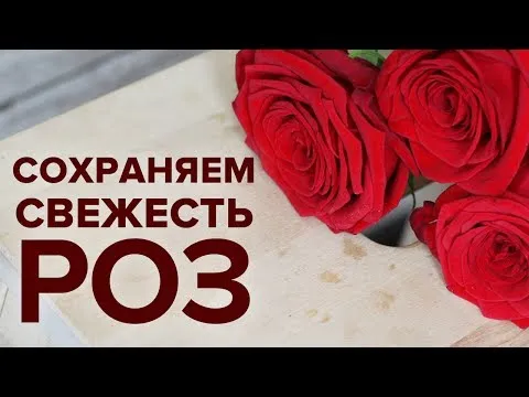 Нажми и смотри