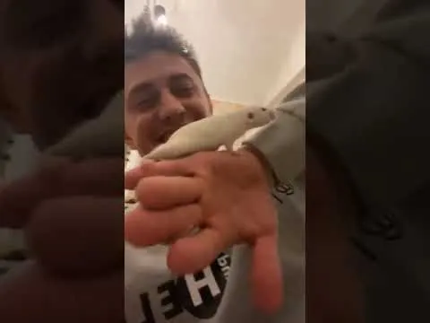 Нажми и смотри Нажми и смотри