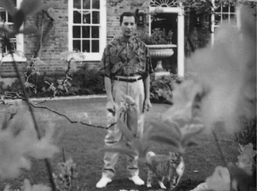 Жизнь Фредди Меркьюри была яркой и насыщенной Жизнь Фредди Меркьюри была яркой и насыщенной