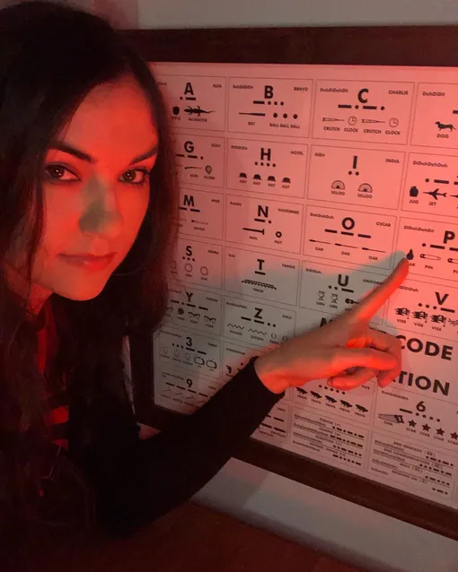 Саша Грей имеет разносторонние интересы