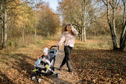 прогулочная няня