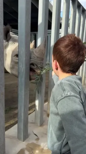 Нажми и смотри