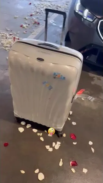 Нажми и смотри