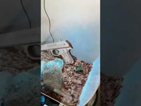 Нажми и смотри Нажми и смотри
