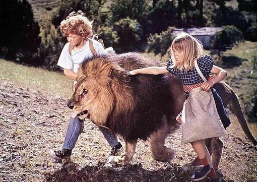 Джоди Фостер пострадала на съемках фильма «Наполен и Саманта» Джоди Фостер пострадала на съемках фильма «Наполен и Саманта»