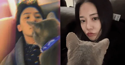 Ли Джу-ён подогрела слухи о романе с G-Dragon фотографией с питомцем Ли Джу-ён подогрела слухи о романе с G-Dragon фотографией с питомцем