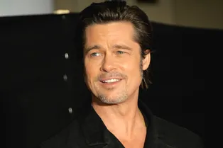 Брэд Питт вступился за права кур-несушек Брэд Питт вступился за права кур-несушек