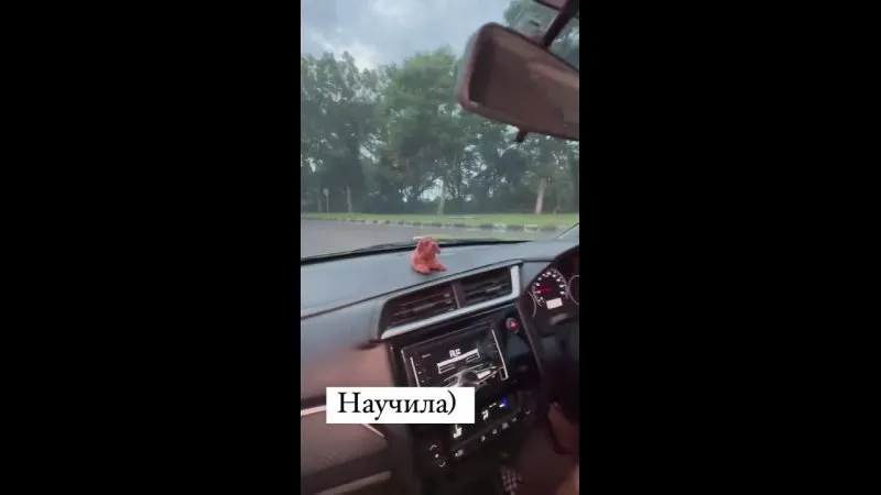 Нажми и смотри Нажми и смотри