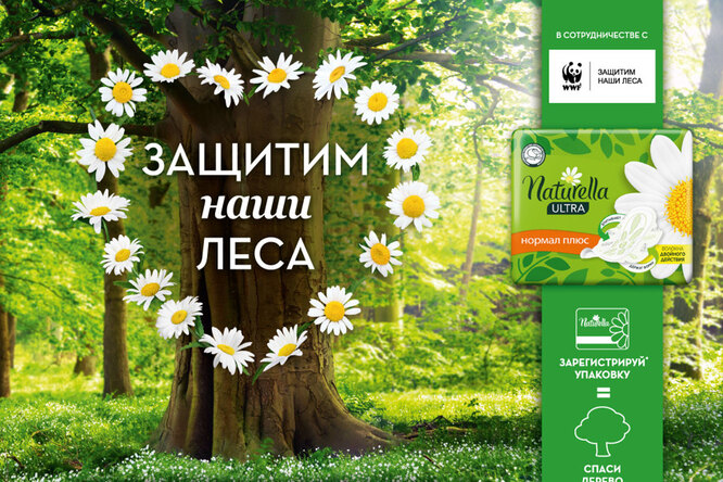 Naturella и WWF России запускают новую волну кампании по защите лесов Naturella и WWF России запускают новую волну кампании по защите лесов