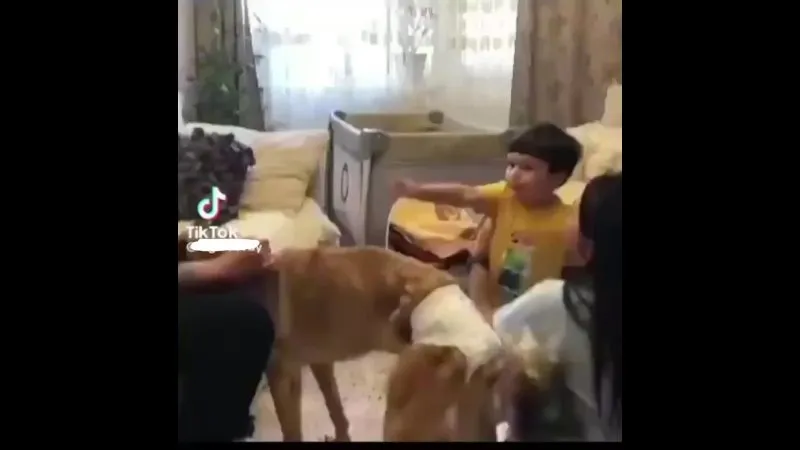 Нажми и смотри Нажми и смотри