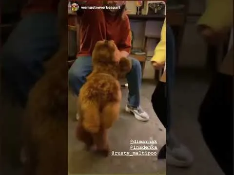 Нажми и смотри Нажми и смотри