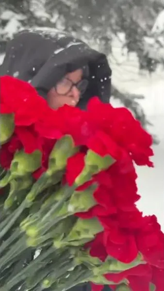 Нажми и смотри