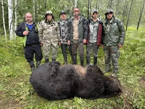 Охотники выследили и застрелили медведя-людоеда Охотники выследили и застрелили медведя-людоеда
