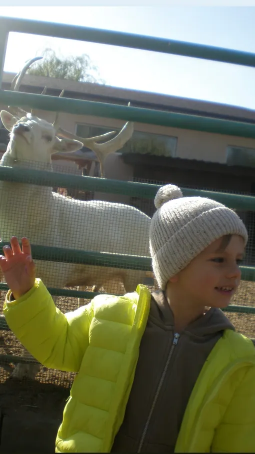 Рейн выглядел довольным на прогулке с мамой