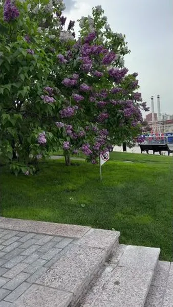 Нажми и смотри