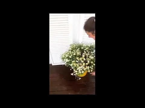 Нажми и смотри