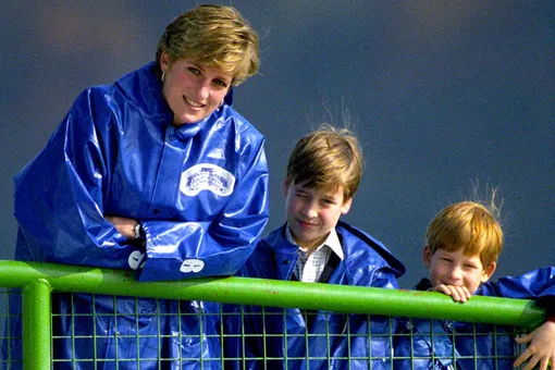 «Диана водила Уильяма и Гарри в приюты»: принцесса отучала сыновей от роскоши «Диана водила Уильяма и Гарри в приюты»: принцесса отучала сыновей от роскоши