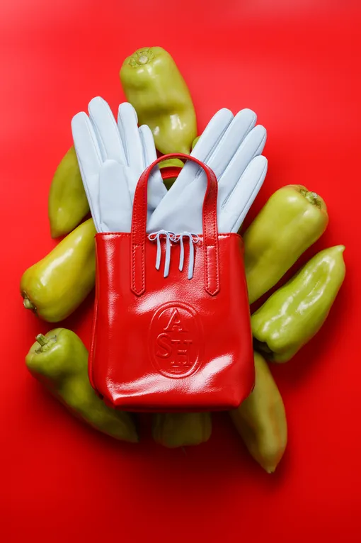 Сумка Ash, перчатки Charuel, серьги Aquagirl (Poison Drop)