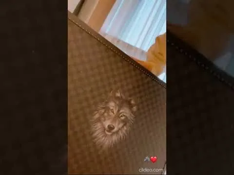 Нажми и смотри