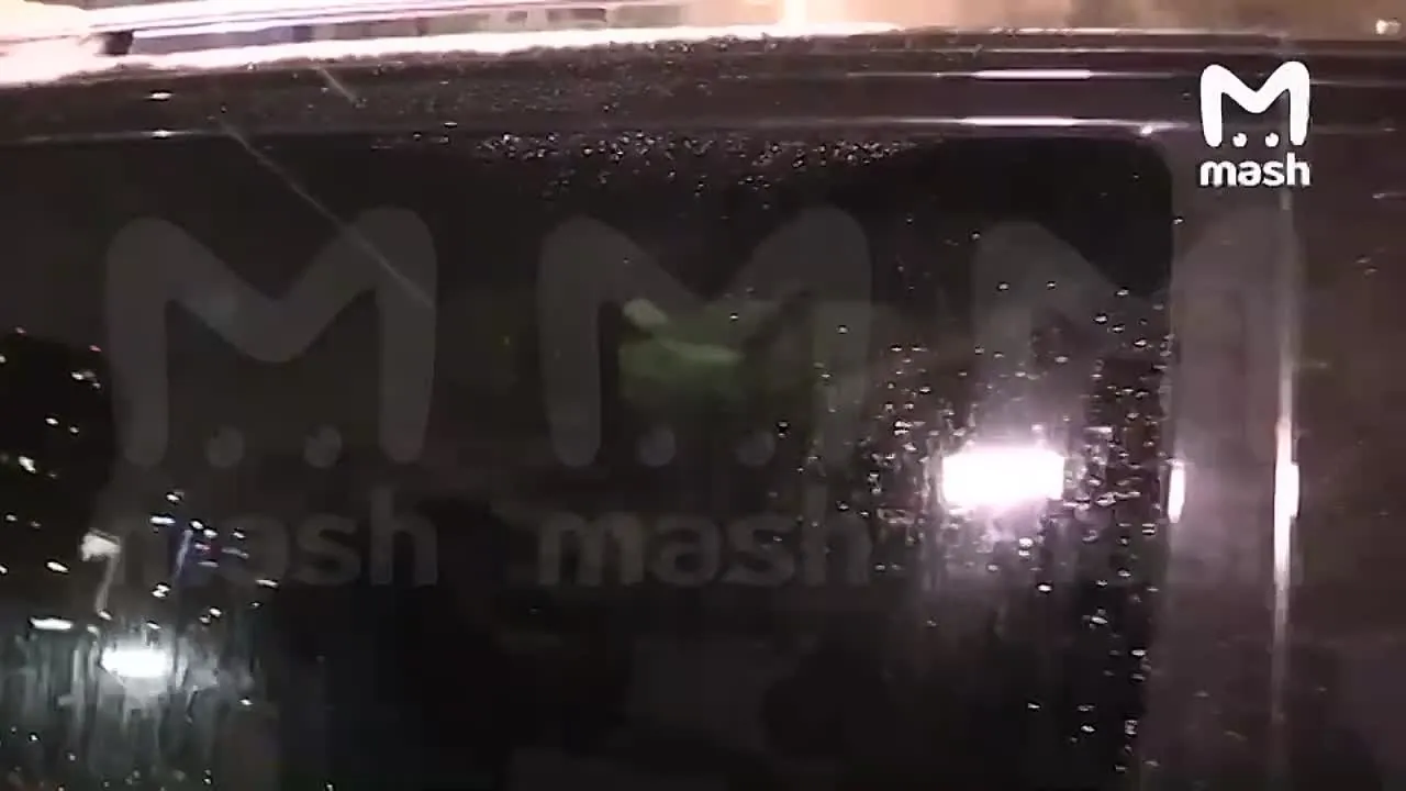 Нажми и смотри Нажми и смотри