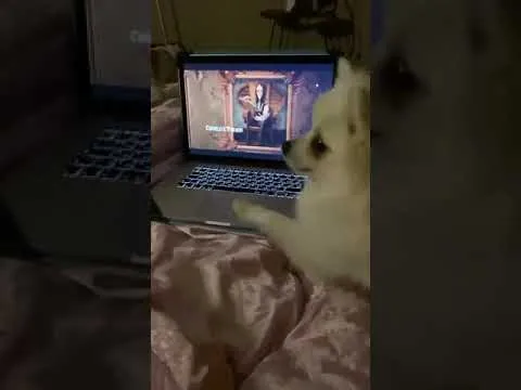 Нажми и смотри