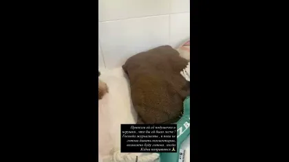 Нажми и смотри Нажми и смотри