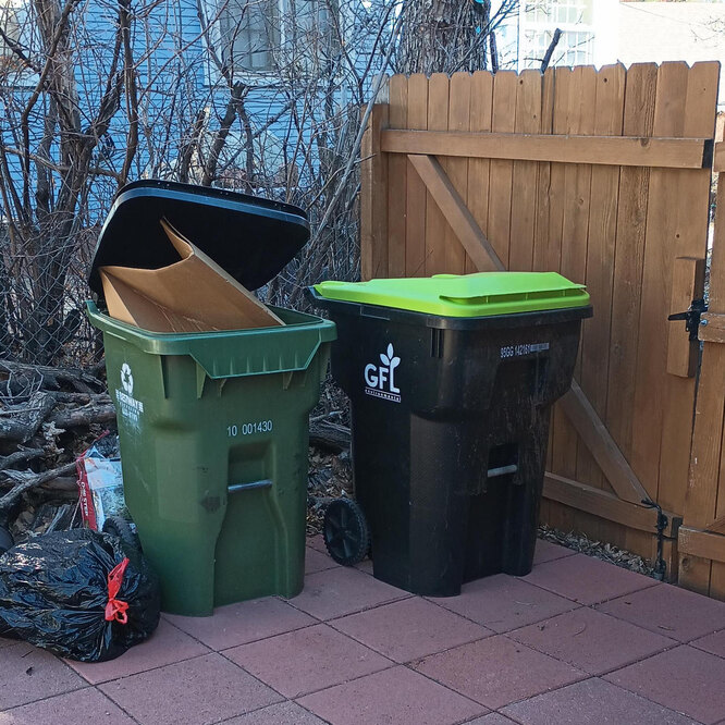 Picture puzzle for the most advanced: will you be able to find the cat in 10 seconds?