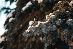 Путешествия, гастрономия, интерьер: дайджест новостей российских брендов Путешествия, гастрономия, интерьер: дайджест новостей российских брендов