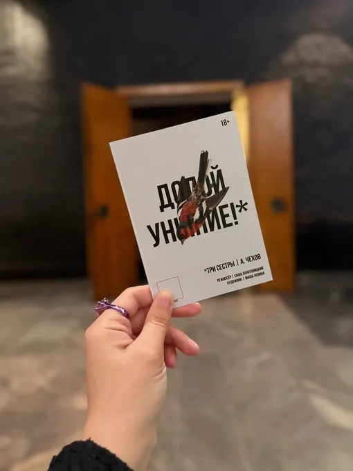 Татьяна Брухунова посетила нашумевший спектакль