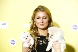 Пэрис Хилтон увлеклась Суперменом