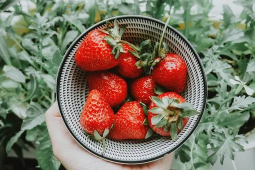 продукты для кожи продукты для кожи