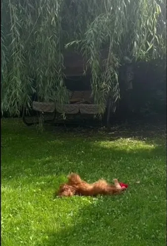 Нажми и смотри