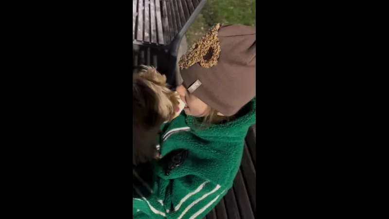 Нажми и смотри Нажми и смотри