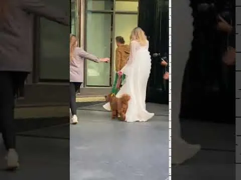 Нажми и смотри