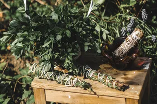 Шалфей: как можно использовать это растение