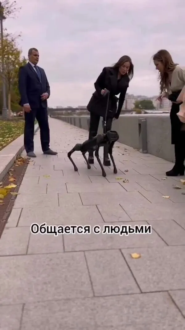 Нажми и смотри